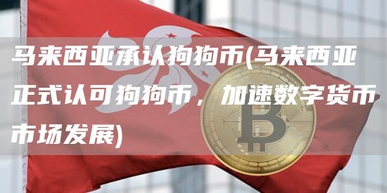 马来西亚承认狗狗币 - 马来西亚正式认可狗狗币，加速数字货币市场发展